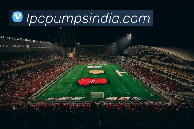 乐鱼在线登陆入口APP 封面图